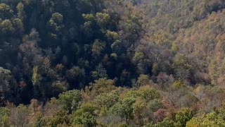 Edge of the cliff pettigrew Arkansas