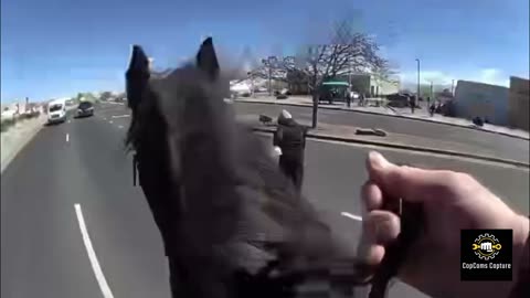 Officers chase Theif on a donkey MUST WATCH