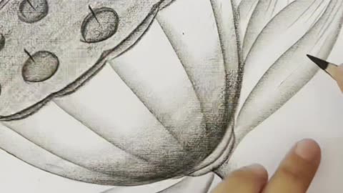 Flower's drawing sketching | Drawing Art