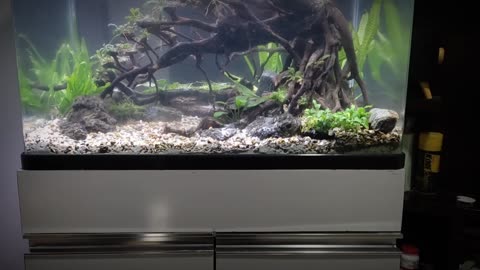Maintenance Tank that is already 3 years old
