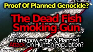 WHALES DYING IN HUGE NUMBERS: SMOKING GUN OF FOOD SUPPLY ATTACK GENOCIDE?! GOVT CAUGHT POISONING!