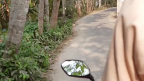 Village Road View || From Auto Rickshaw