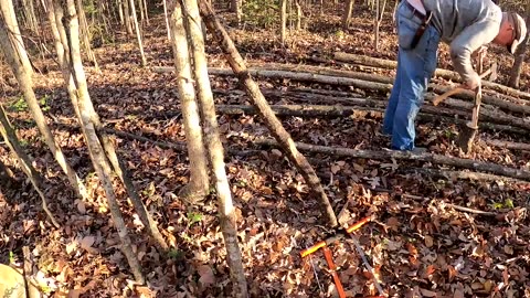 Bushcraft Log Cabin Build - 8 Days Winter Camping & Cooking in Primitive Shelter