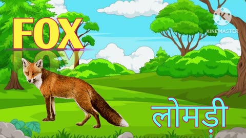 Wild animals in english and hindi| Wild animals name |जंगली जानवरो के नाम |animals name for kids