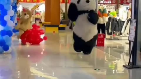 so cute funny panda videos. us