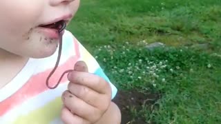 Little Boy Eats a Worm