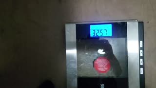 Weigh-In Apr 25, 2024