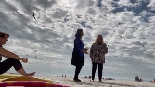 Feeding birds in the beach is fun and so relaxing..