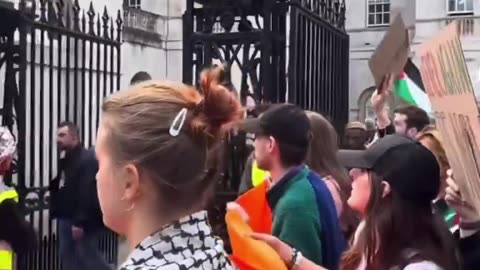 SHAMELESS pro-Palestine protesters show contempt for the British military