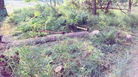Splitting a Black Locust log with only hand tools part 2