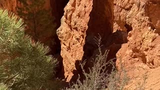 Hoo doos Bryce Canyon