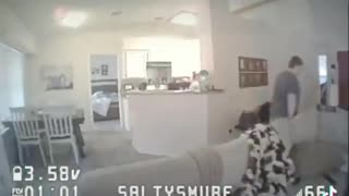 Wife vs Whoop