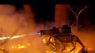 Flamethrower Equipped Robot Dog?