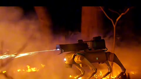 Flamethrower Equipped Robot Dog?