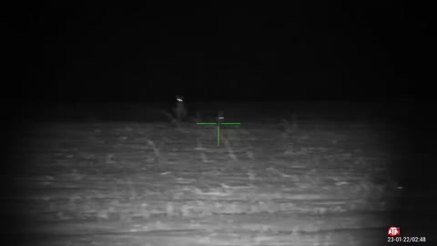 Night vision vs coyote