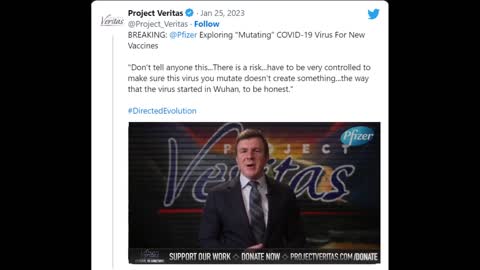Project Veritas - Pfizer exec admits Covid started in Wuhan, and says company wants to mutate virus