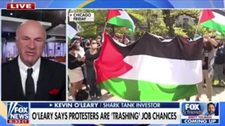 Kevin O’Leary says protesters are trashing job chances