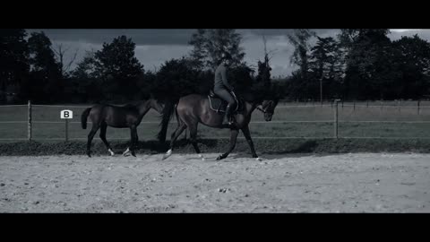 Mark Equestrian Music Video