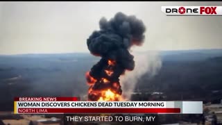 Ohio Chernobyl Incident: Woman Finds Her Chickens Dead 10 Miles From East Palestine