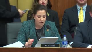 Elise Stefanik Before the Weaponization of the Federal Government Hearing