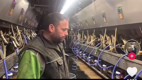 Canadian Dairy Farm Forced to Dump 30,000 L of milk for being 'over quota'