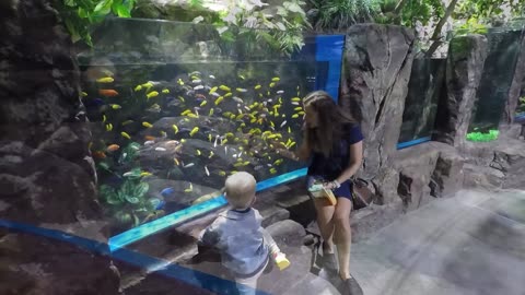 Bahrain - Marassi Aquarium and Underwater Zoo