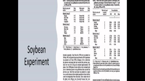 Crop Science 1 Soy Bean Cross Breeding Experiment