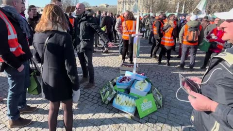 Farmers Roll Hundreds of Tractors to Les Invalides in central Paris