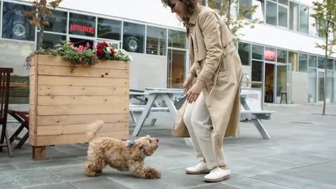 Woman Training Dog to Jump