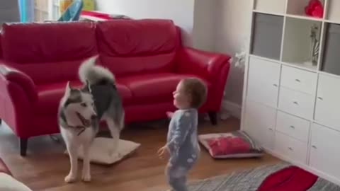 Dog playing with the child .