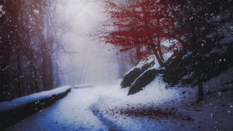 Farewell Snowfall _ Beauty of nature