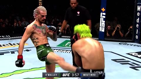 SUGA SEAN O'MALLEY leaves Kris Mouthino STARSTRUCK RECORD Breaking #MMA #ufc #fighting