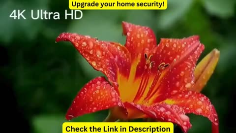 Upgrade your home security! 8MP 4K PTZ IP Camera Dual Lens Dual Screen Wifi Camera Outdoor Security