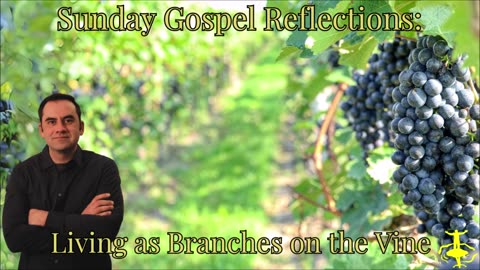 Living as Branches on the Vine: 5th Sunday of Easter