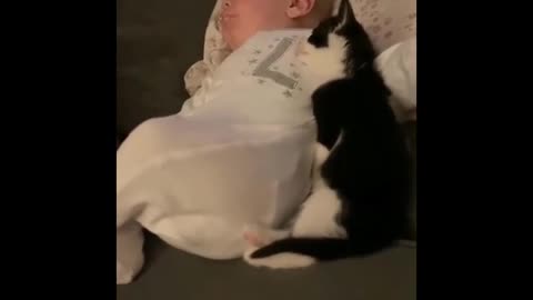 Awww baby + cat