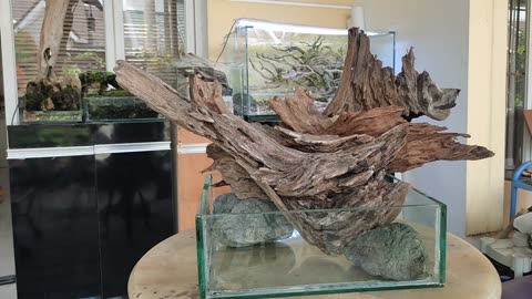 How To Make Wood Waste can be used as decoration for ornamentap fish