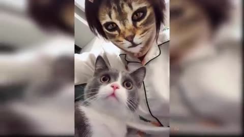 Cat funny🤣 video | cat funny