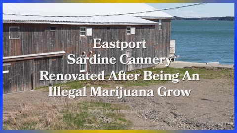 Eastport Sardine Cannery Before and After Illicit Cannabis