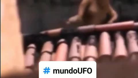 O que será isso? 🤔😱😱