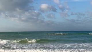 Beautiful Beach in Bradenton