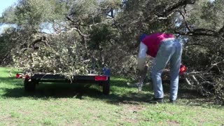 Cleanup after the Ice Storm 2023