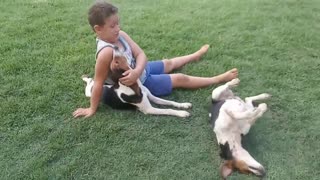 Miguel brincando com os cachorros
