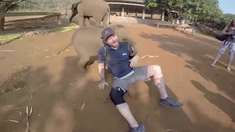 UNEXPECTED ANIMAL ATTACTS FUNNY VIDEO.