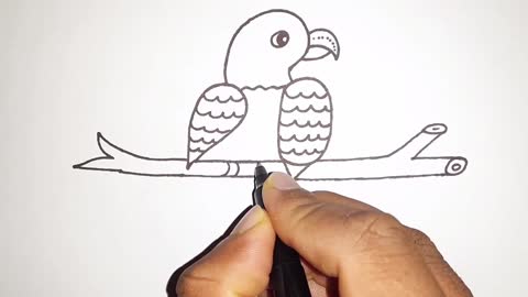 How To Draw A Bird From 20 Drawing Pictures