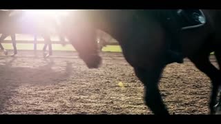 Remember - Equestrian Music Video