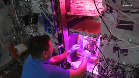 NASA Astronaut Frank Rubio: A Year of Science in Space