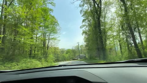 NW NC at The Treehouse 🌳 Dashcam of Barnardsville NC to Love songs