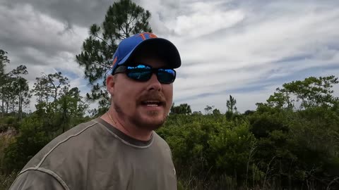 Florida Public Land First Wild Hog Scouting