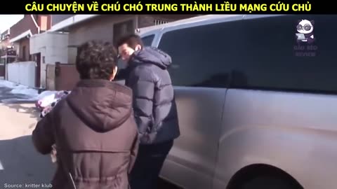 Chó Mẹ 2 tuổi phải mặc áo giáp để tránh 5 con quái vật nhỏ __ Review Con Người Và Cuộc Sống