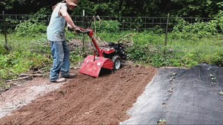 It's time!! Sweet potato planting!